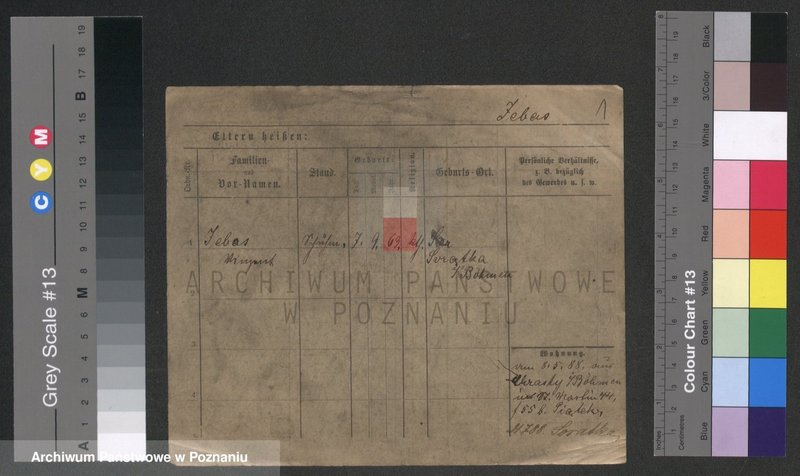 Obraz 1 z jednostki "Jebas - Jelinowski"