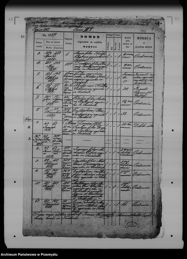 Obraz 5 z jednostki "[Kopie ksiąg metrykalnych parafii Świdnik (dekanat Rozłucz)]"