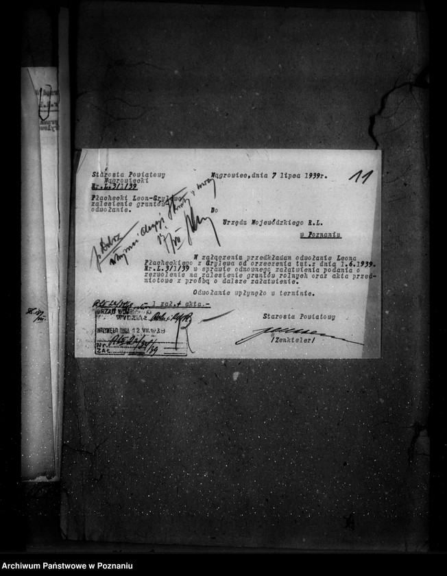 image.from.unit.number "Las majętności leśna Grylewo powiat wągrowiecki"