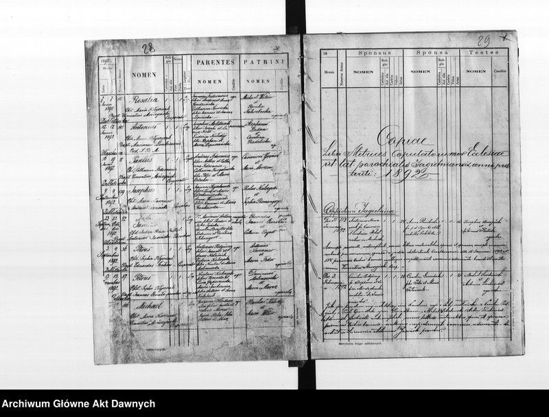 image.from.unit.number "Parafia: Jagielnica. Dekanat: Czortków. Księga metrykalna urodzeń, ślubów i zgonów dla miasta Jagielnica i wsi: Dolina z Szulchanówką, Jagielnica Stara, Milowce*, Muchawka, Nagórzanka, Rosochacz, Sosolówka*, Chomiakówka, Salówka, Ułaszkowce* z Zabłotówką*."