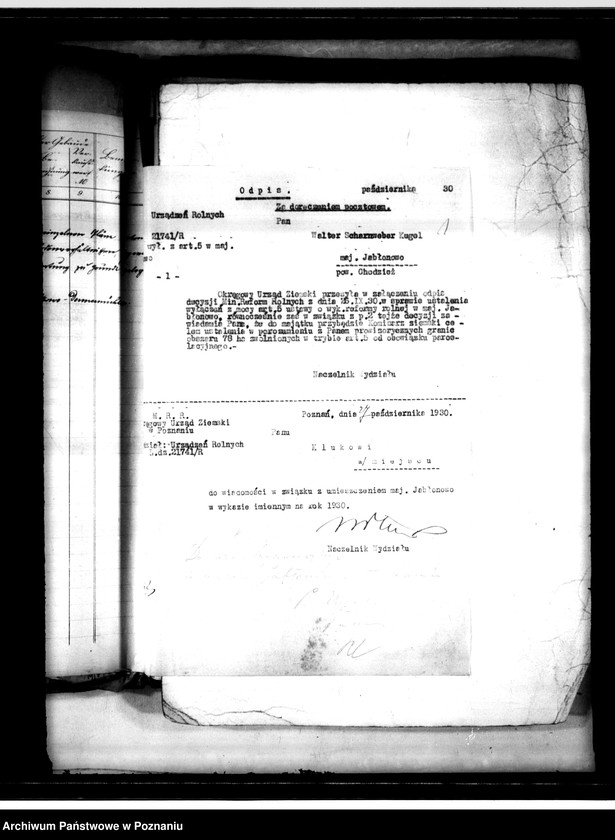 Obraz 5 z jednostki "Majętność Jabłonowo - przymusowy wykup"