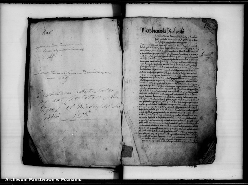 Obraz 6 z jednostki "Inscriptiones, relationes [inducta]"