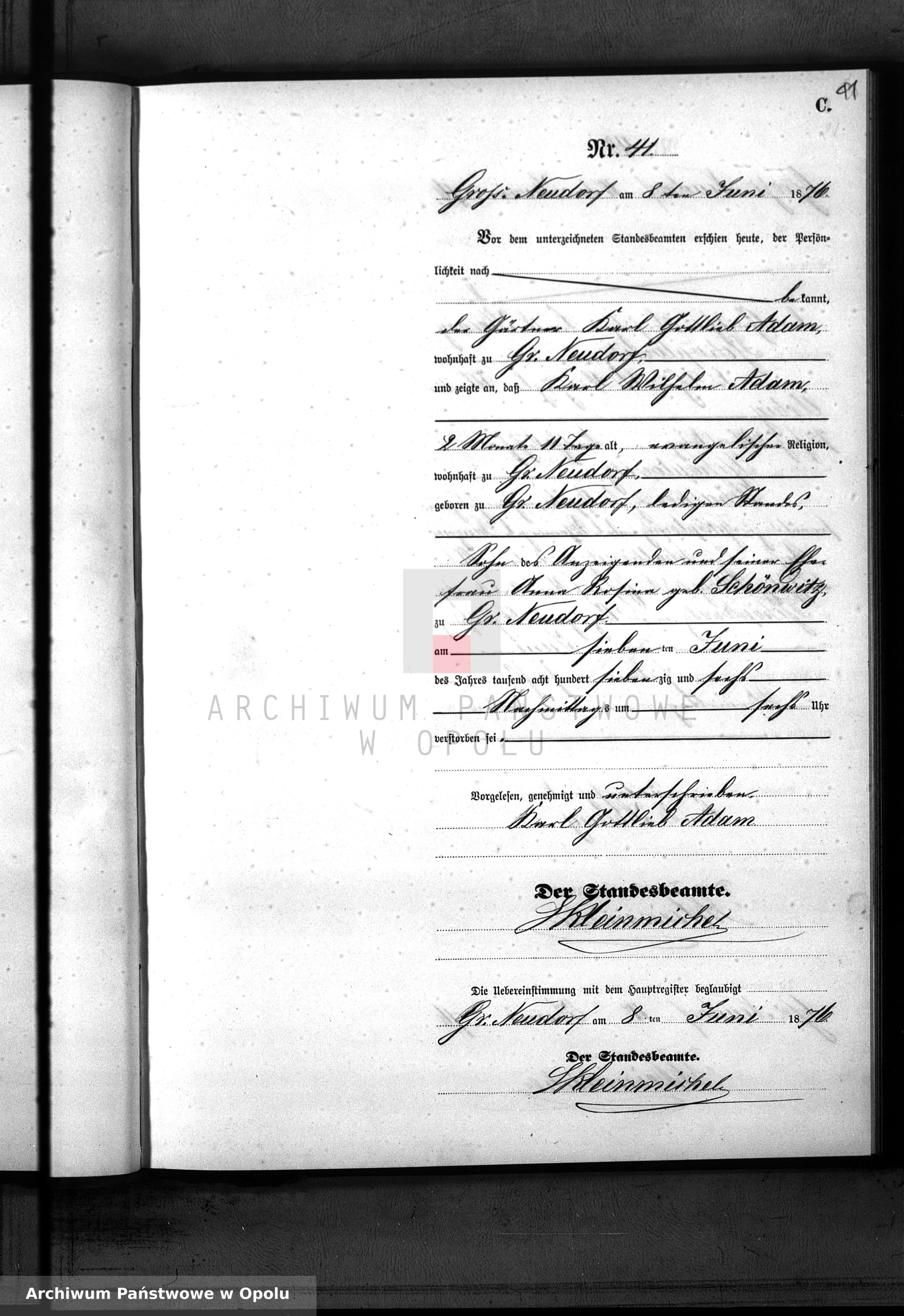 Skan z jednostki: Sterbe-Neben-Register Standesamt Gross Neudorf 1876