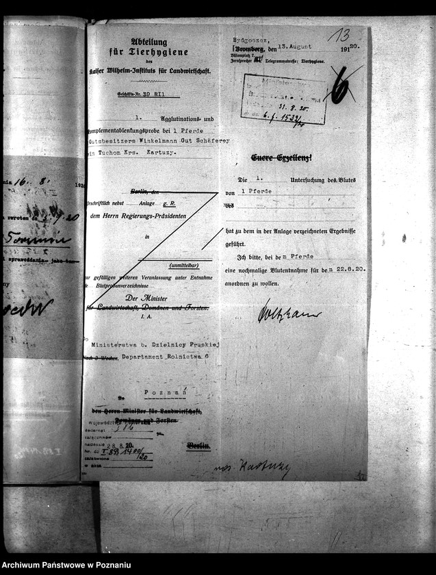 Obraz 17 z jednostki "Nosacizna - Kartuzy"