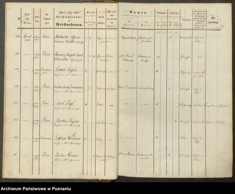 Obraz 18 z jednostki "Sterbenbuch"