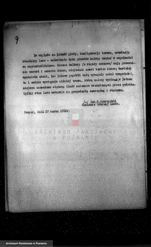 Obraz 13 z jednostki "Nadzór nad gospodarką w lasach majętności Rościnno powiat wągrowiecki"