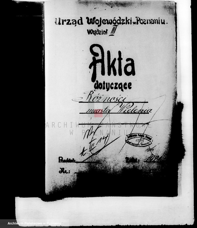 Obraz 4 z jednostki "Różności miasta Wielenia"