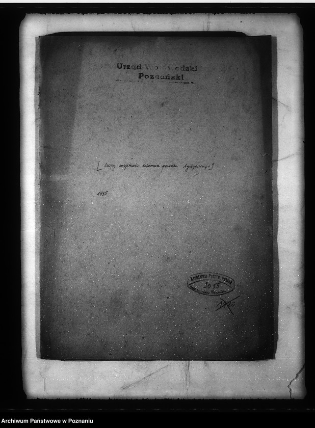 Obraz 4 z jednostki "/Mapy majętności Kotomierz powiatu bydgoskiego/"