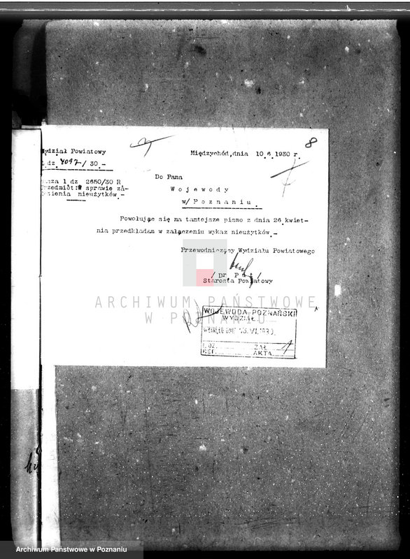 Obraz 12 z jednostki "Zalesienie nieużytków w powiecie międzychodzkim"