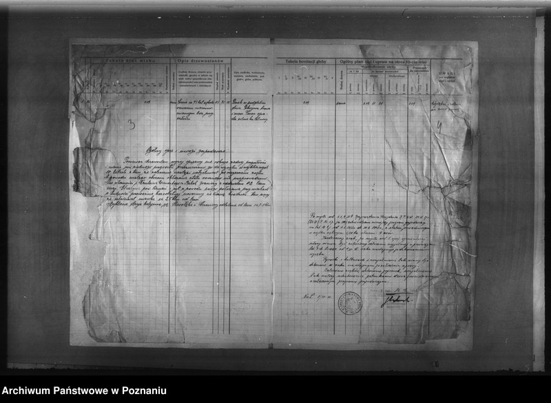 Obraz 7 z jednostki "Program urządzenia gospodarstwa leśnego lasu Remleina Wincentego w Babkach powiat poznański"