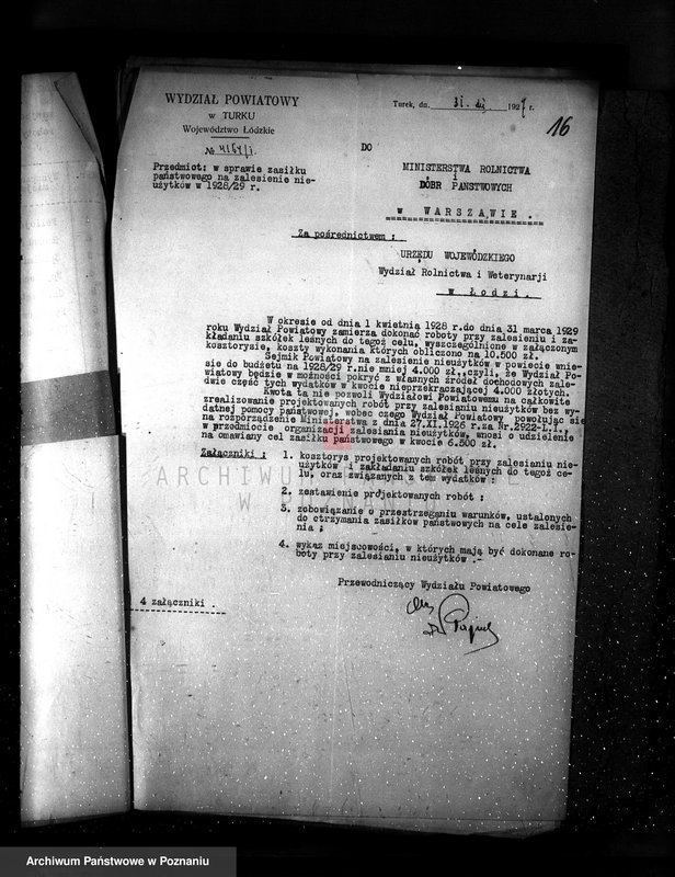 Obraz 20 z jednostki "Zalesienie nieużytków powiatu tureckiego"