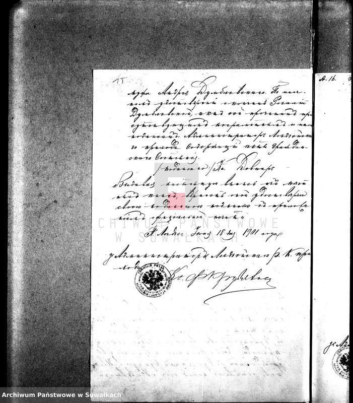 Obraz 19 z jednostki "Dokumenty k aktam brakosočetavšichsja Sejnskago Rimsko-Katoličeskago Prichoda za 1901 god."