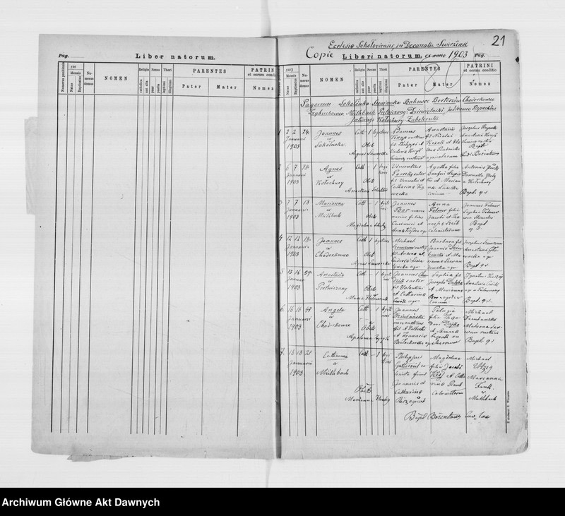 image.from.unit.number "Parafia: Sokołówka. Dekanat: Świrz. Kopie z ksiąg metrykalnych ur., śl., zg. dla całej parafii."