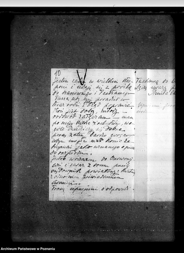 image.from.unit.number "Sprawy stadnin ogiery nielicencjonowane"