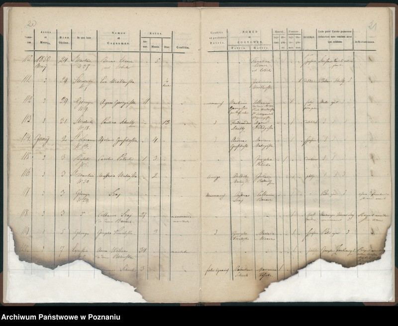 Obraz 13 z jednostki "Księga zgonów"