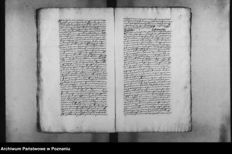 Obraz 13 z jednostki "Decreta [inducta]"