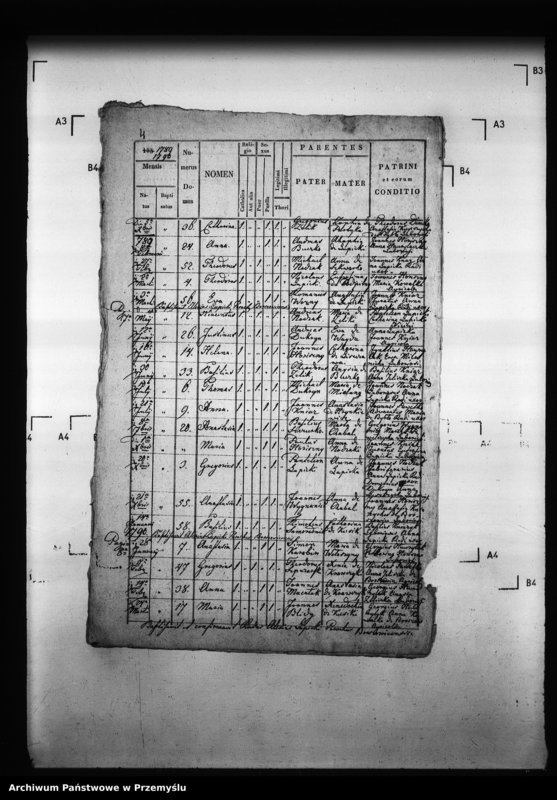 image.from.unit.number "[Kopie ksiąg metrykalnych parafii Borszowice z filiami Bybło, Paćkowice (dekanat Niżankowice)]"