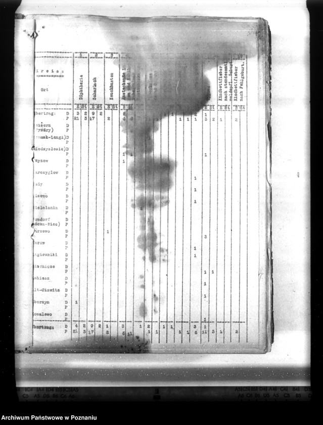 Obraz 9 z jednostki "Statistik der Krankheiten im Wartheland"