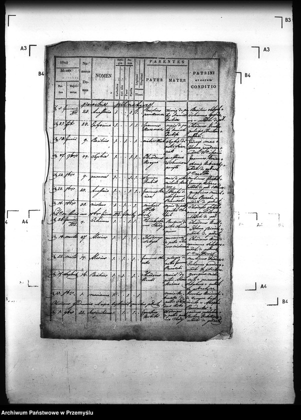 image.from.unit.number "[Kopie ksiąg metrykalnych parafii Pełniatycze z filiami Cząstkowice, Czelatyce, Roźwienica, Rożniatów, Rudołowice, Wola Roźwienicka (dekanat Pruchnik)]"