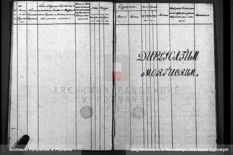 image.from.unit.number "Duplicatum baptisatorum, copulatorum, mortuorum"