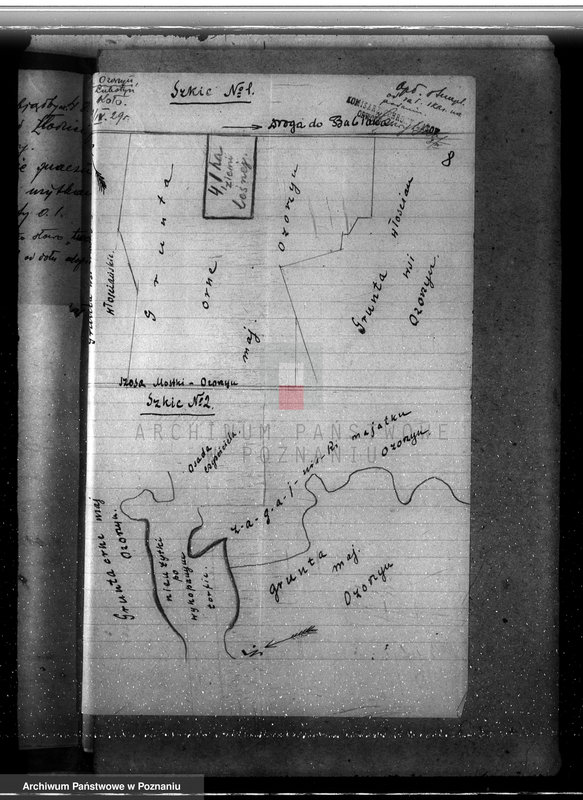Obraz 11 z jednostki "Sprawa zmiany rodzaju użytkowania 25,47 ha gruntów leśnych w majątku Ozorzyn dla celów parcelacji powiat kolski"