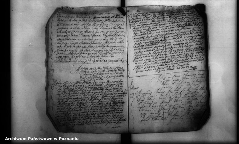 Obraz 20 z jednostki "Inscriptiones, resignationes [protocollon]"