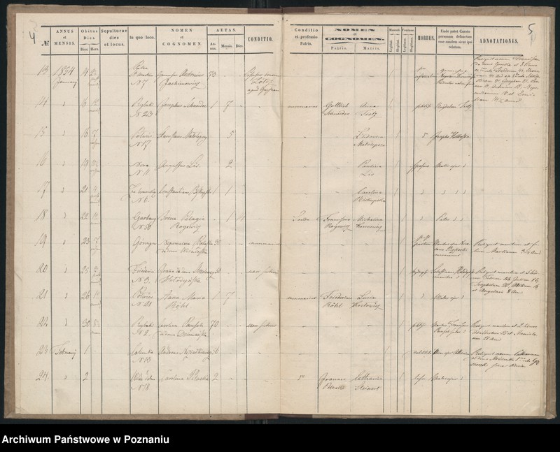 Obraz 5 z jednostki "Księga zgonów"