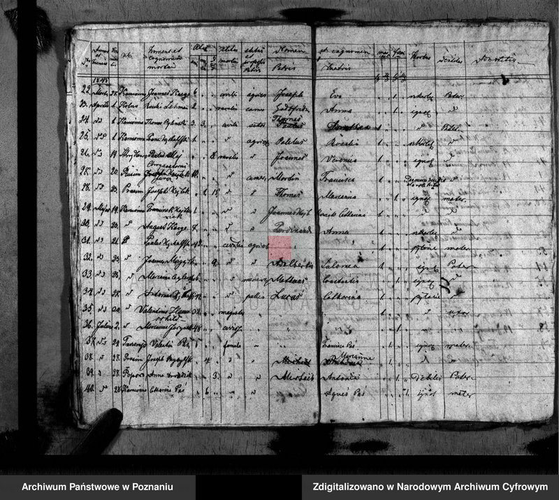 image.from.unit.number "Duplikat baptisatorum, copulatorum, mortuorum"