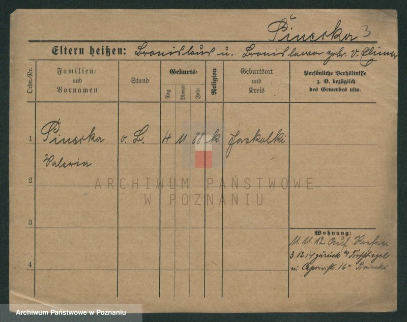 Obraz 3 z jednostki "Pinecki - Piotr"