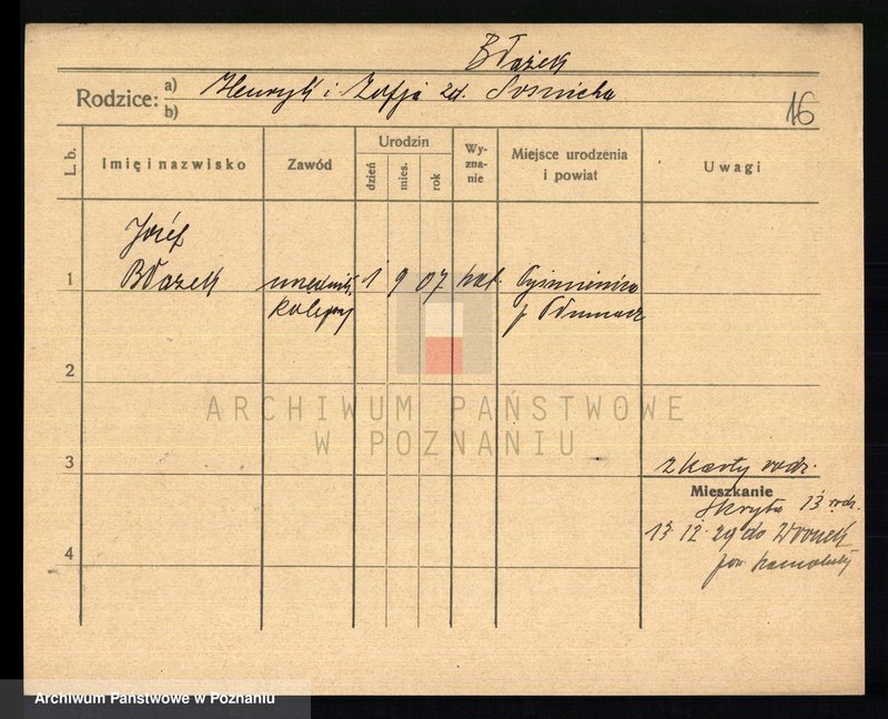 Obraz 18 z jednostki "Błażek - Blober"