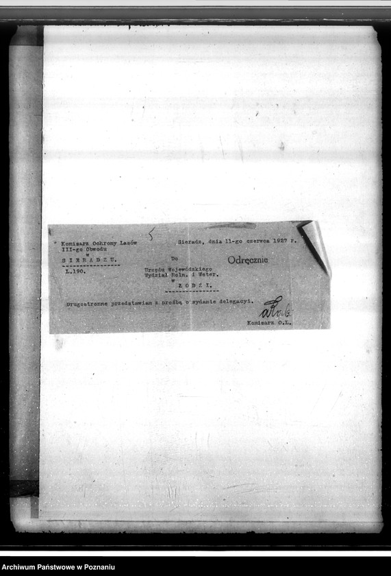 Obraz 9 z jednostki "Sprawa lustracji lasu dóbr Osuchów powiatu kaliskiego oraz sprawa odroczenia terminu zalesienia 3,06 ha gruntów leśnych"