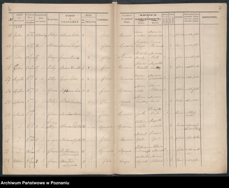 Obraz 5 z jednostki "Księga zgonów"