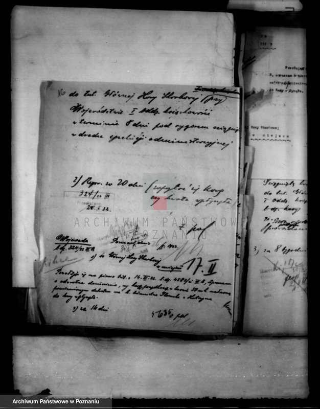 Obraz 20 z jednostki "Administracja miasta Kostrzyna"