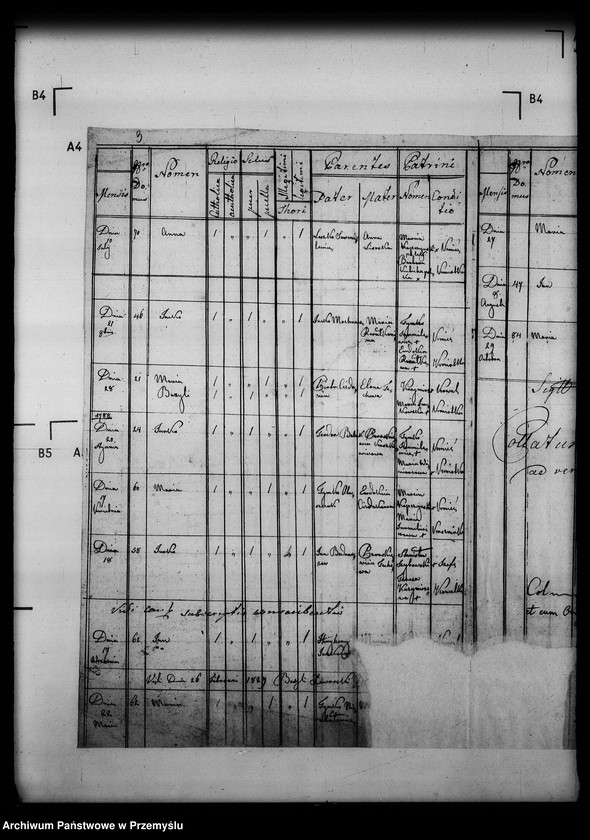 Obraz 5 z jednostki "[Kopie ksiąg metrykalnych parafii Baligród z filiami Stężnica, Bystre i Łubna (dekanat Baligród)]"