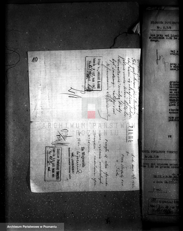 Obraz 15 z jednostki "Gmina Niewiesz powiat turecki /nadzór nad gospodarką leśną/"