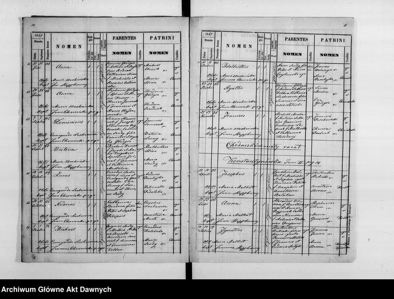 image.from.unit.number "Parafia: Hałuszczyńce. Dekanat: Skałat. Księga metrykalna urodzeń, ślubów i zgonów dla wsi: Hałuszczyńce*, Chmieliska*, Chodaczków Mały**, Konstantynówka, Romanowe Sioło, Żerebki Królewskie, Żerebki Szlacheckie."