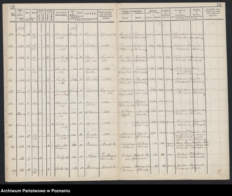 Obraz 17 z jednostki "Księga urodzeń"
