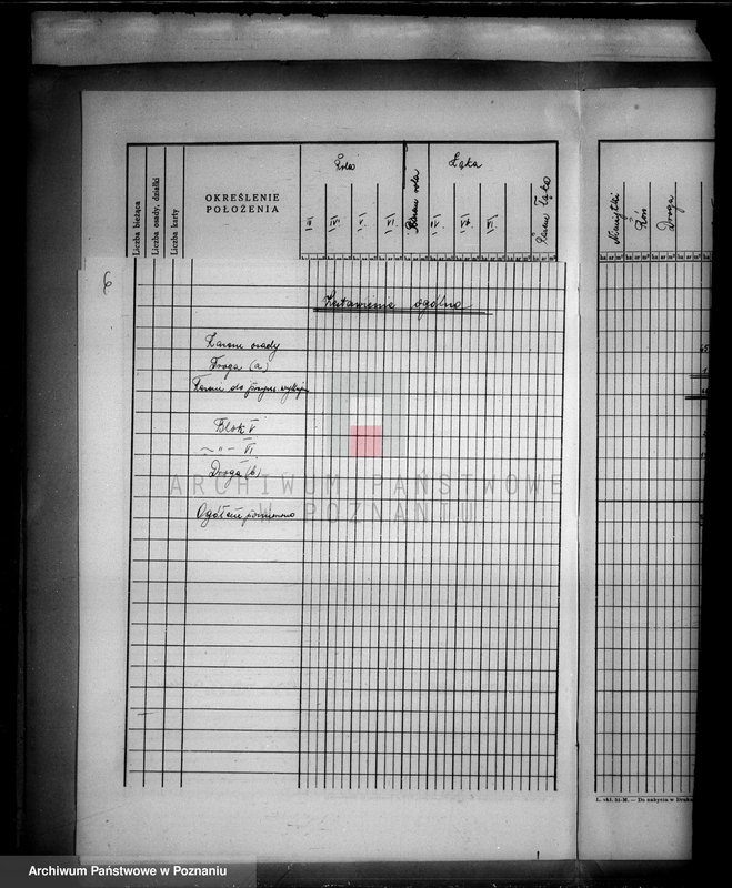 Obraz 11 z jednostki "Tymczasowy rejestr pomiarowo-parcelacyjny majątku Liszkowo powiatu wyrzyskiego"