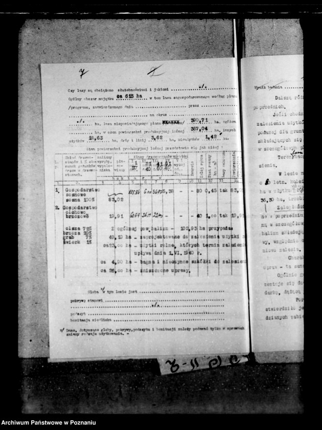 Obraz 11 z jednostki "Majętność leśna Rakojady powiat wągrowiecki"