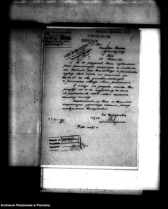 Obraz 9 z jednostki "/Scalenie gruntów wsi Oleśnica powiatu konińskiego/"