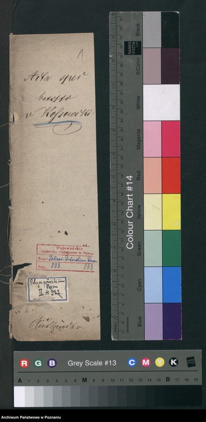 Obraz 4 z jednostki "A. betr. Boleslaus und Karl von Kossowski"