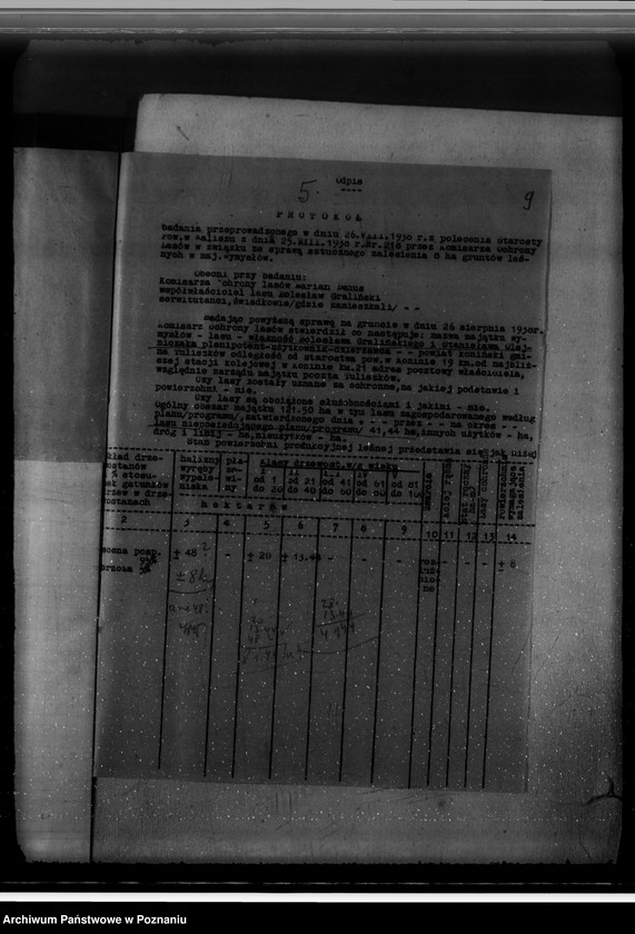 Obraz 13 z jednostki "Gmina Wymysłów powiat koniński /nadzór nad gospodarką leśną/"