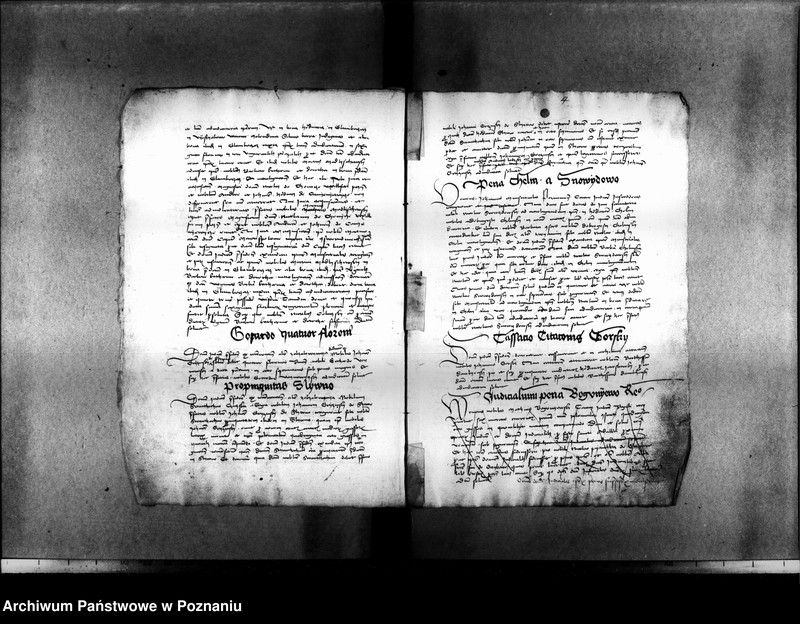 Obraz 14 z jednostki "Resignationes ,inscriptiones, relationes, decreta [protocollon]"