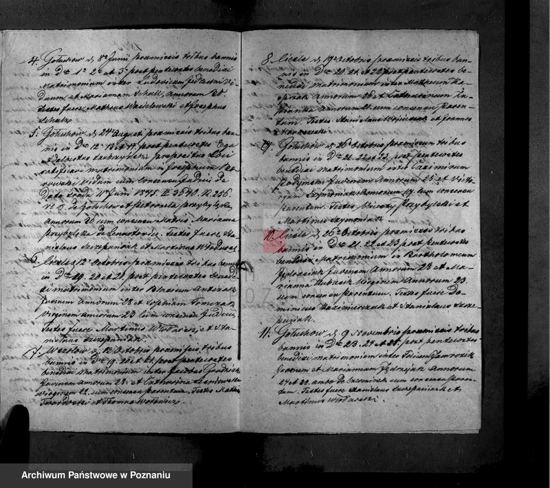 Obraz 3 z jednostki "Księga zaślubionych"