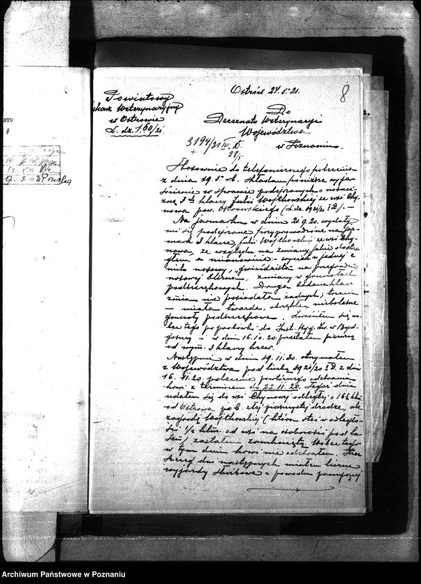 Obraz 12 z jednostki "Nosacizna - Ostrów"