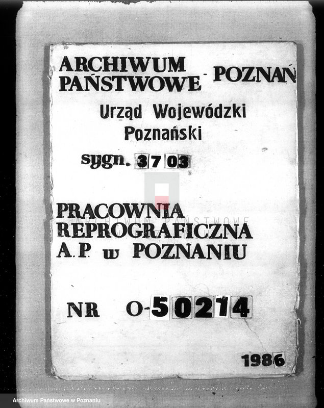 Obraz 1 z jednostki "Las majętność Słomowo-Pacholewo powiat obornicki"