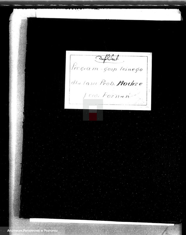 Obraz 4 z jednostki "Program urządzenia gospodarstwa leśnego lasu probostwa Modrzu powiat poznański"