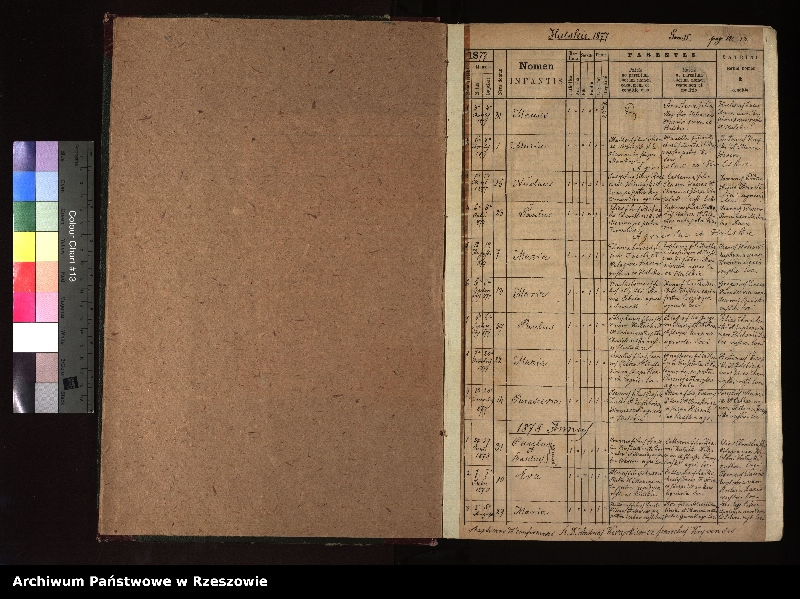 Obraz z jednostki "Księga urodzeń, małżeństw i zgonów dla miejscowości Krywe (Krzywe), Hulskie i Tworylne"