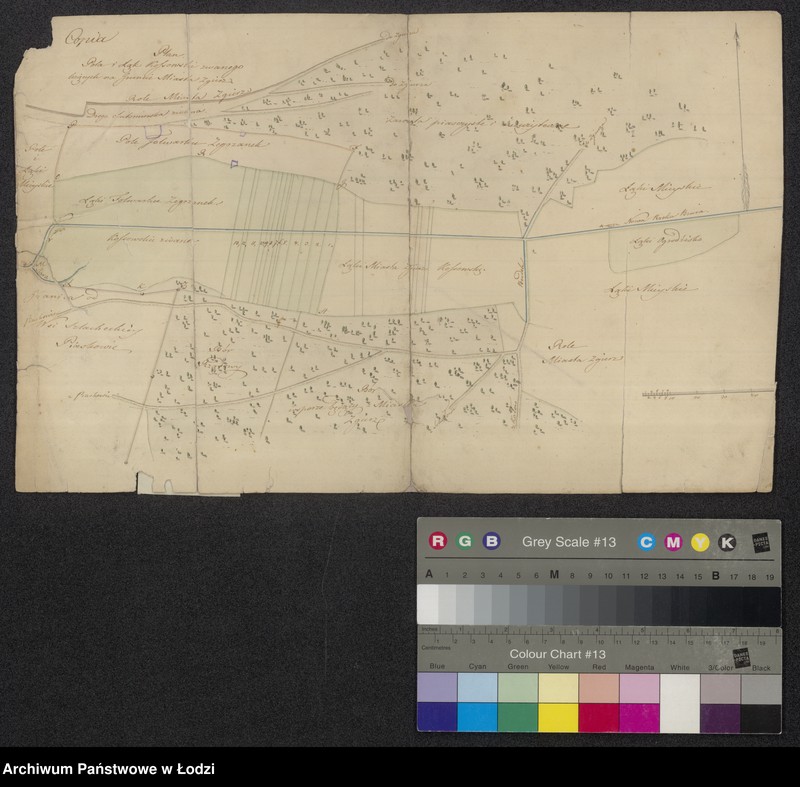 Obraz 1 z jednostki "Plan pola i łąk Kopowskie [Kosowskie] zwanego leżących na gruncie miasta Zgierza"