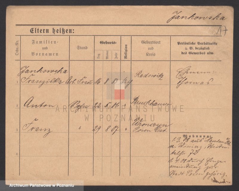 Obraz 17 z jednostki "Jankowski (wdowy i samotni mężczyźni)"